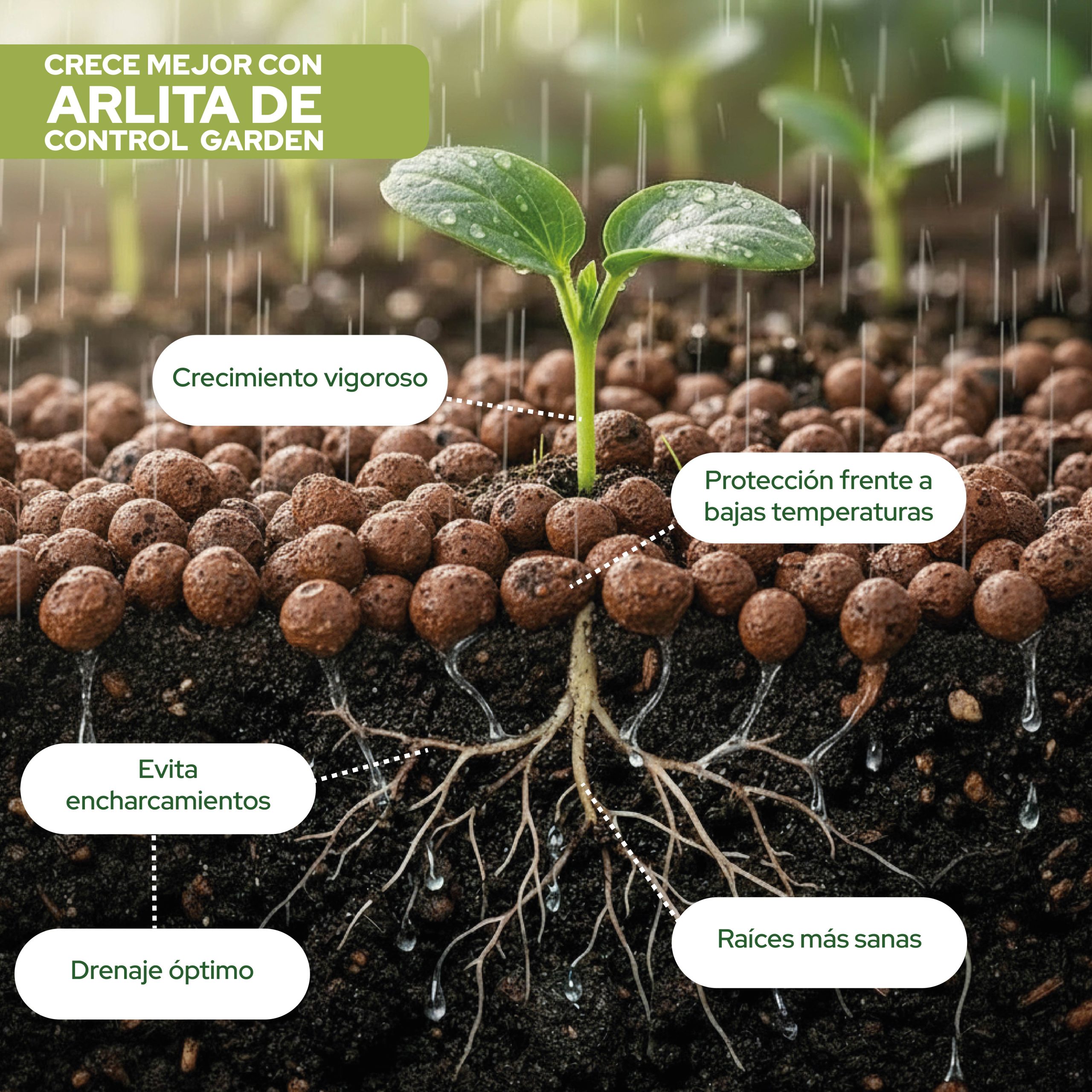 Arlita 20L sustrato bolas de arcilla expandida para plantas · foto 2