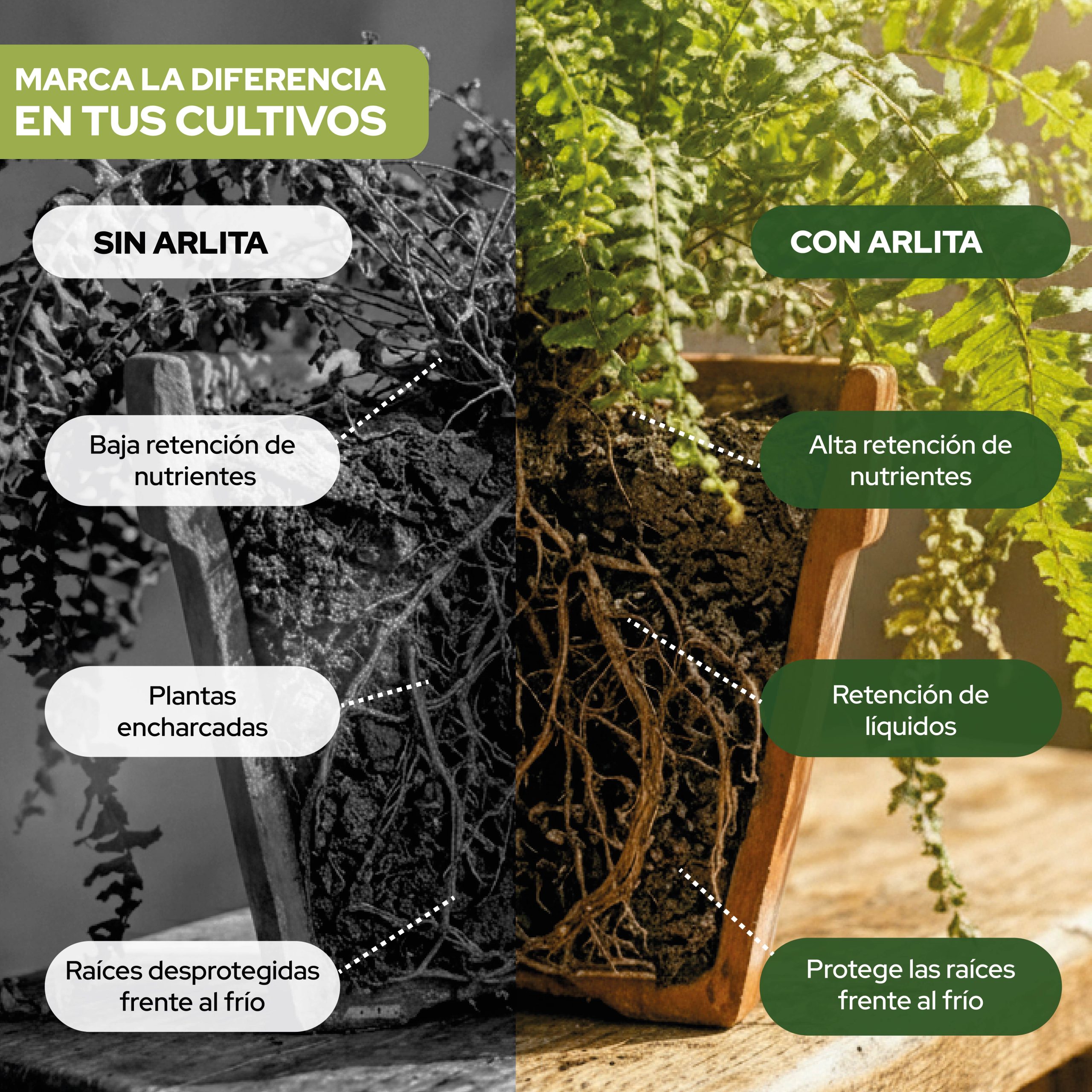 Sustrato Arlita 3L de bolas de arcilla expandida para cultivos · foto 4
