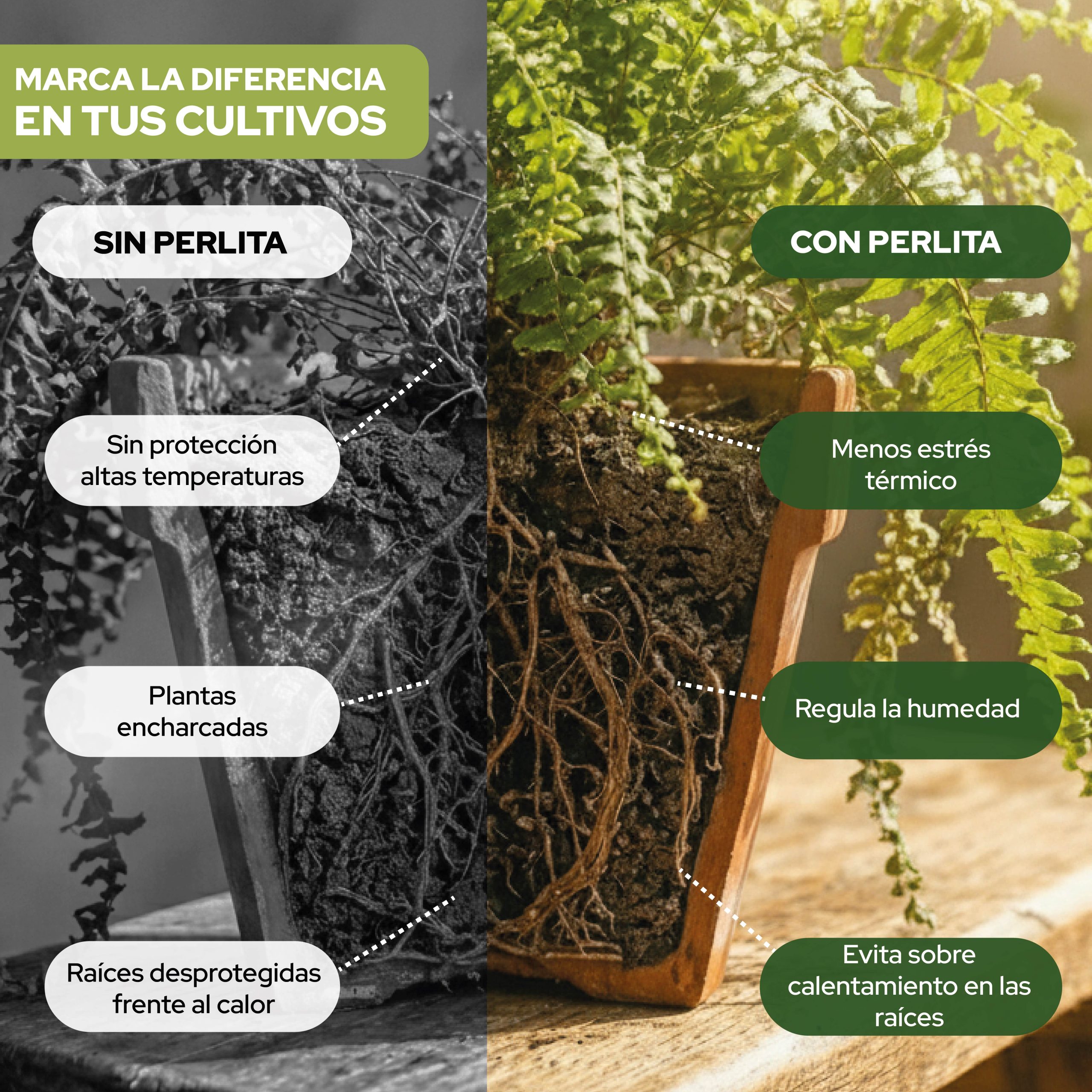 Perlita 6L de Control Garden para mejorar el sustrato de plantas · foto 4