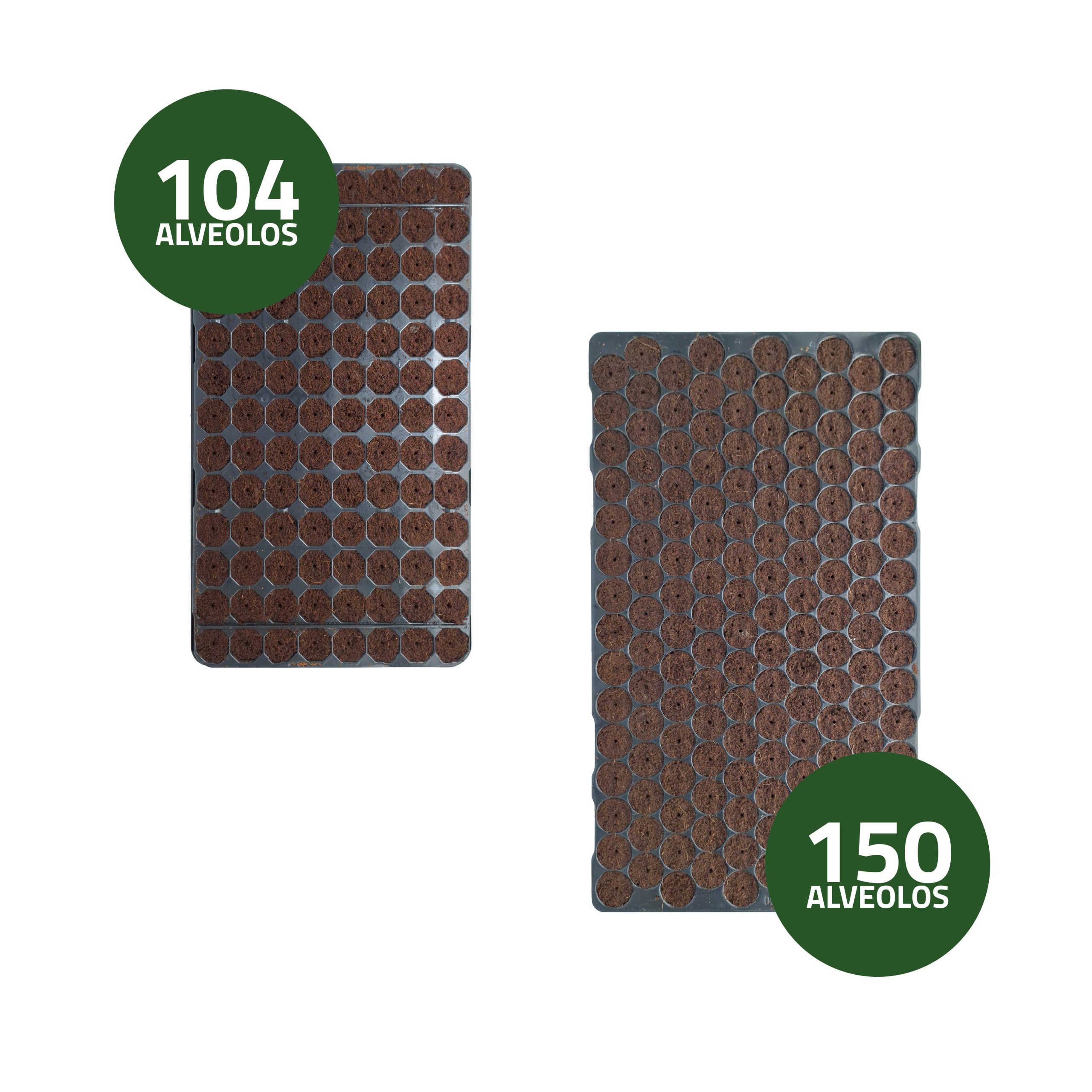 Feuchtes Saatgut-Germinationstablett 40 x 30 cm · Pack mit 10 Einheiten