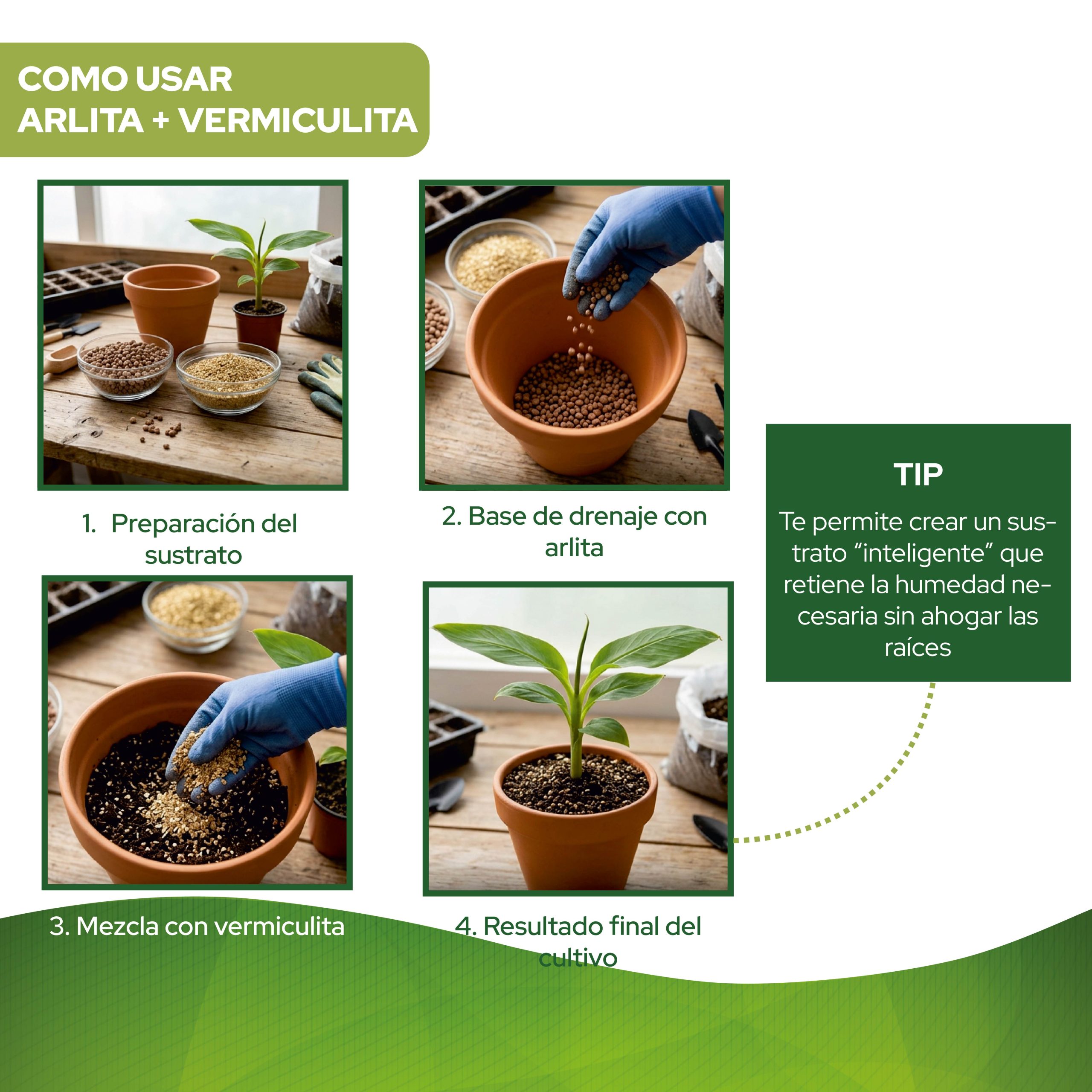 Pack de sustrato Arlita y vermiculita 6L para cultivo · foto 5