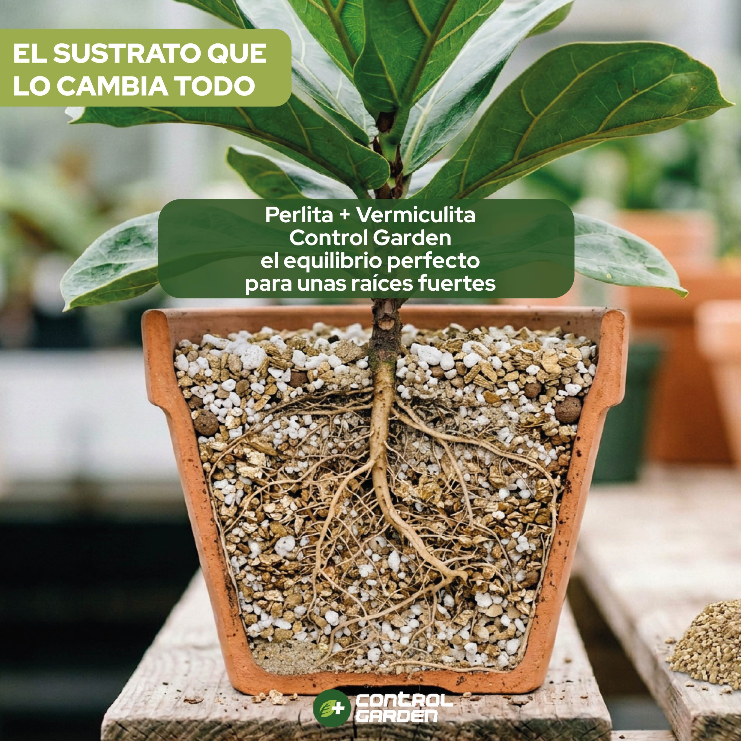 Pack de Perlita y Vermiculita 3L para jardinería y cultivo · foto 8