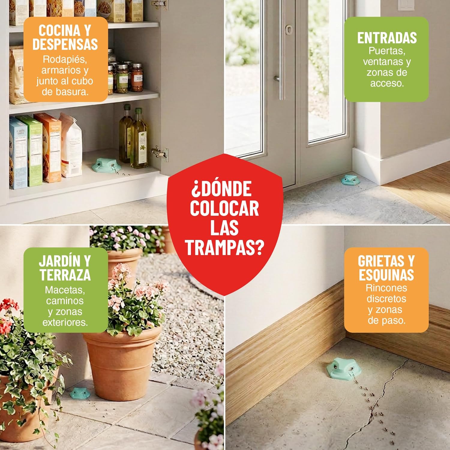 Pack de 6 trampas para hormigas en gel de Control Garden · foto 7