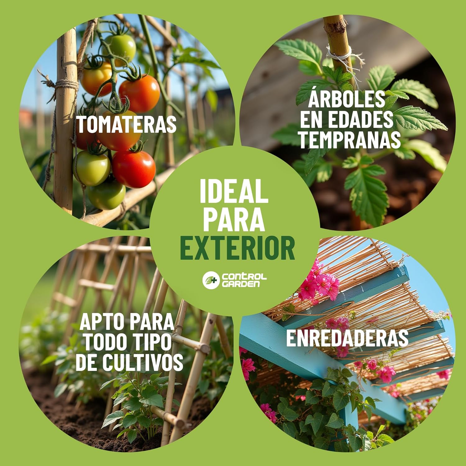 Pack de 90 tutores de bambú natural de 180 cm para soporte de plantas · foto 4