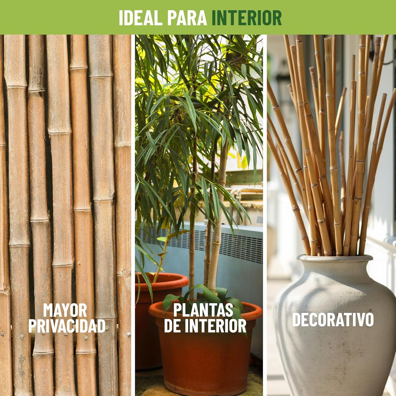 Pack de 30 tutores de bambú natural de 180 cm para soporte de plantas · foto 2