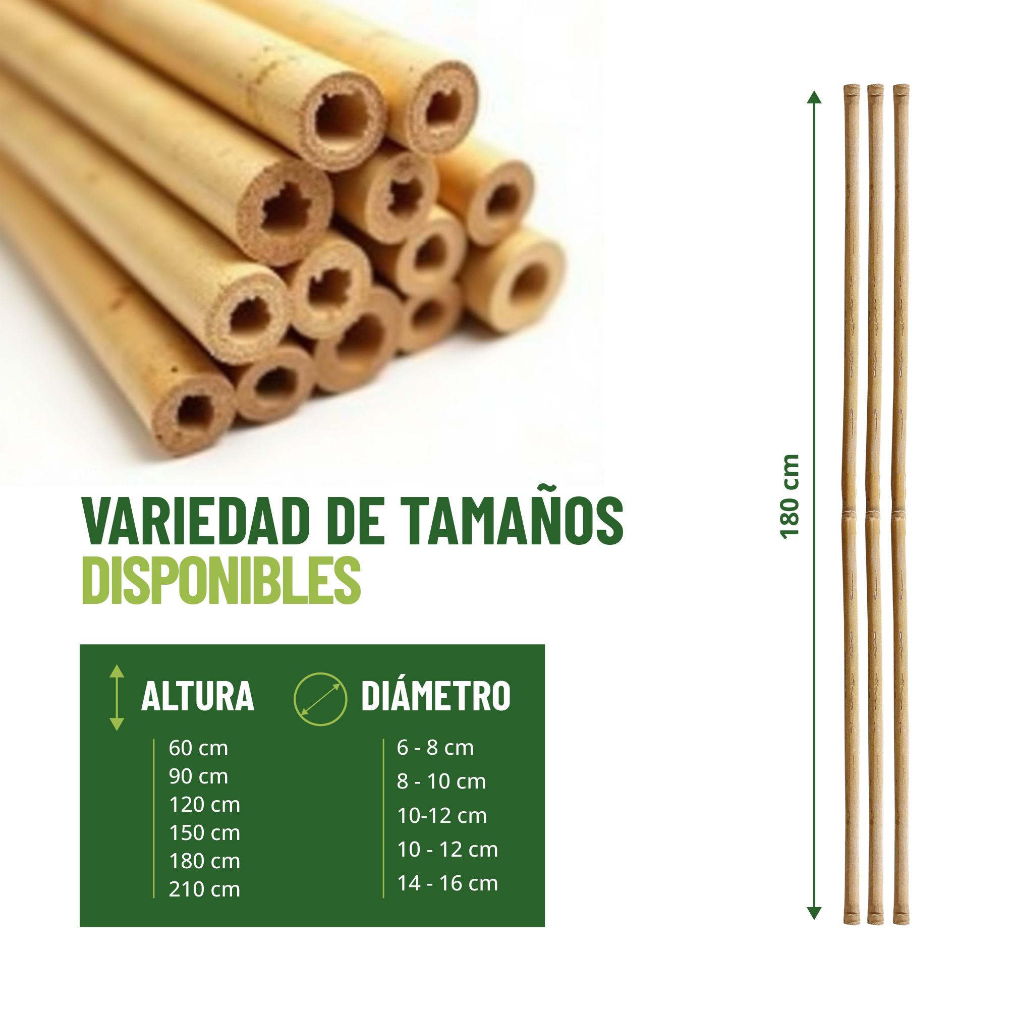 Pack de 30 tutores de bambú de 180 cm para soporte de plantas · foto 2