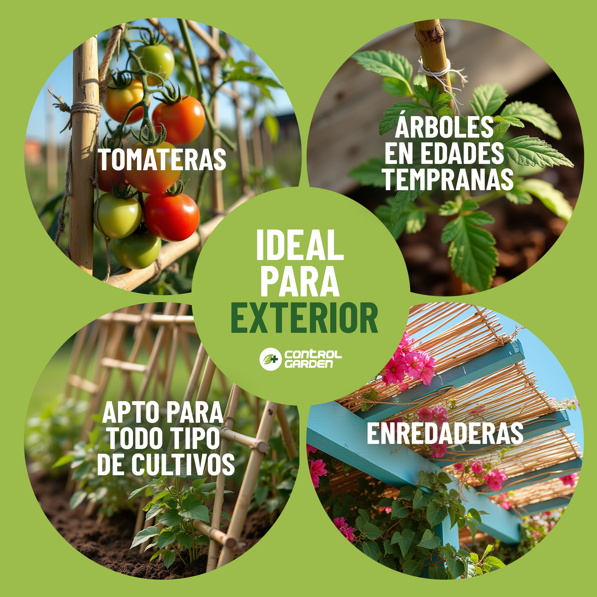 Pack de 30 tutores de bambú de 180 cm para soporte de plantas · foto 5