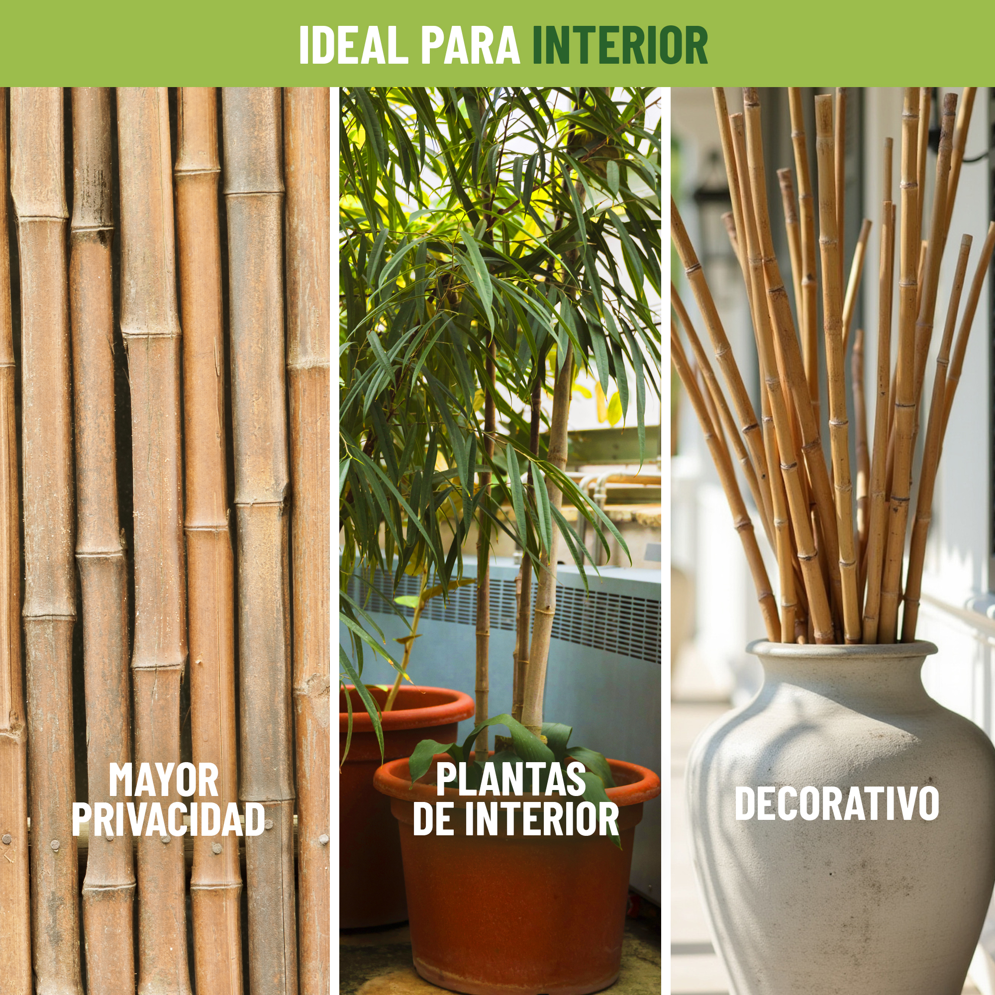 Pack de 30 tutores de bambú natural de 120 cm para soporte de plantas · foto 4