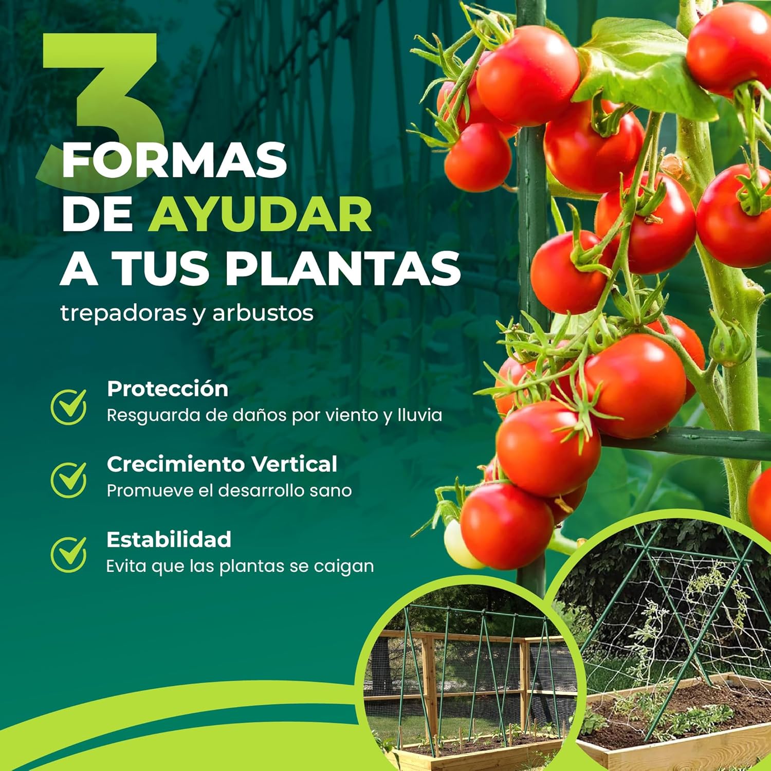 Pack de 10 tutores de acero recubiertos de PVC de 180 cm para plantas · foto 2