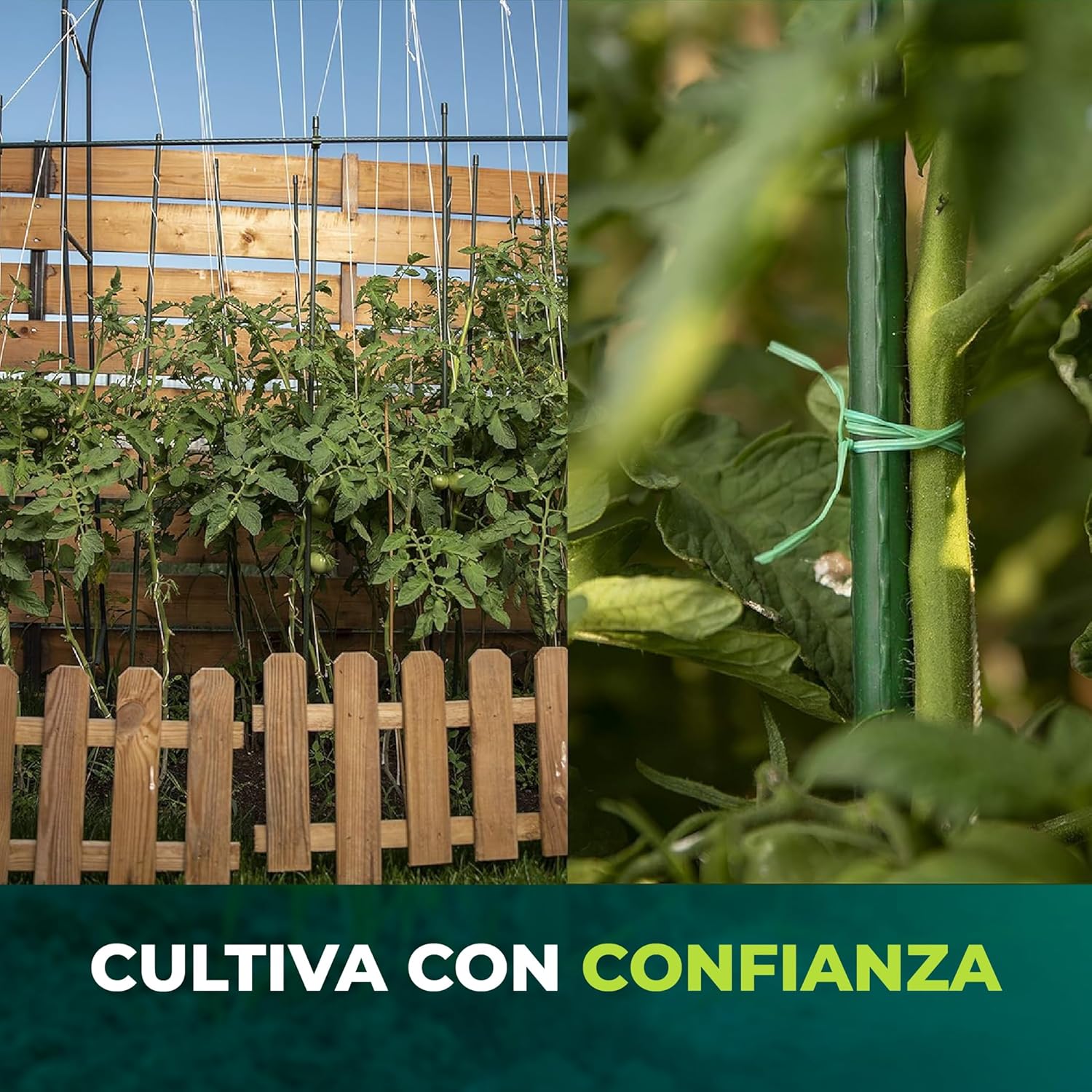 Pack de 10 tutores de acero recubiertos de PVC de 180 cm para plantas · foto 7