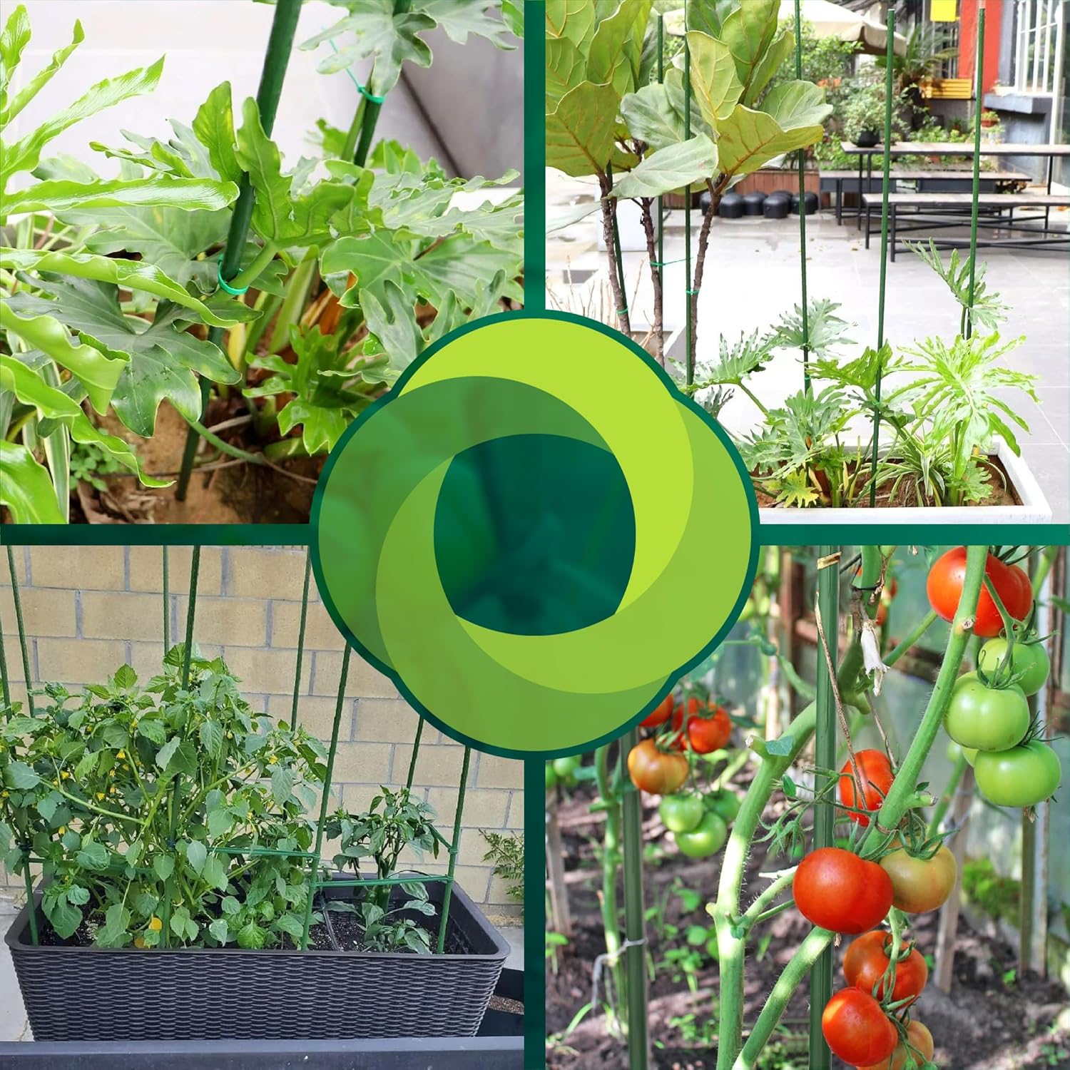 Pack de 10 tutores de acero recubiertos de PVC de 150 cm para plantas · foto 6